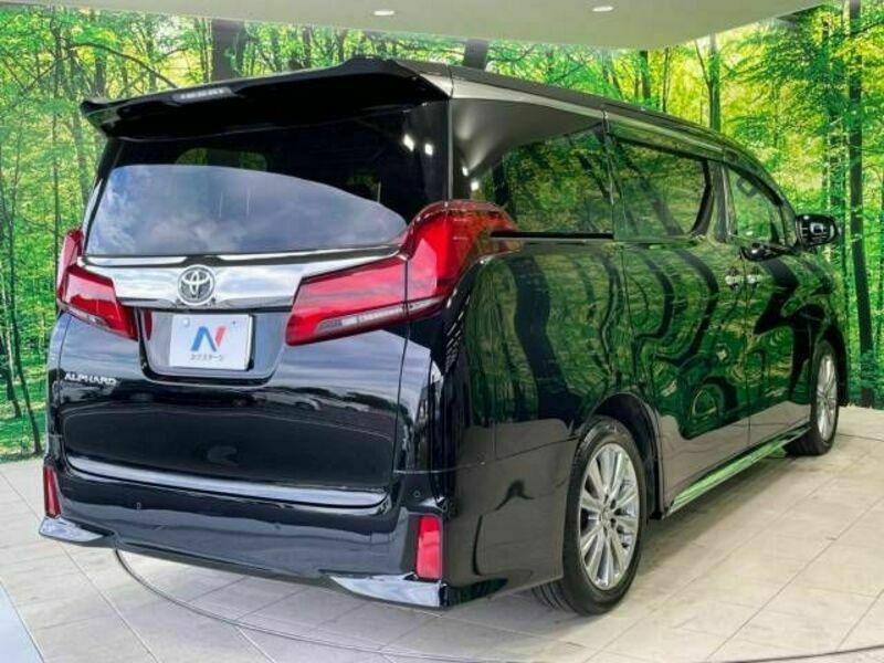 ALPHARD-17