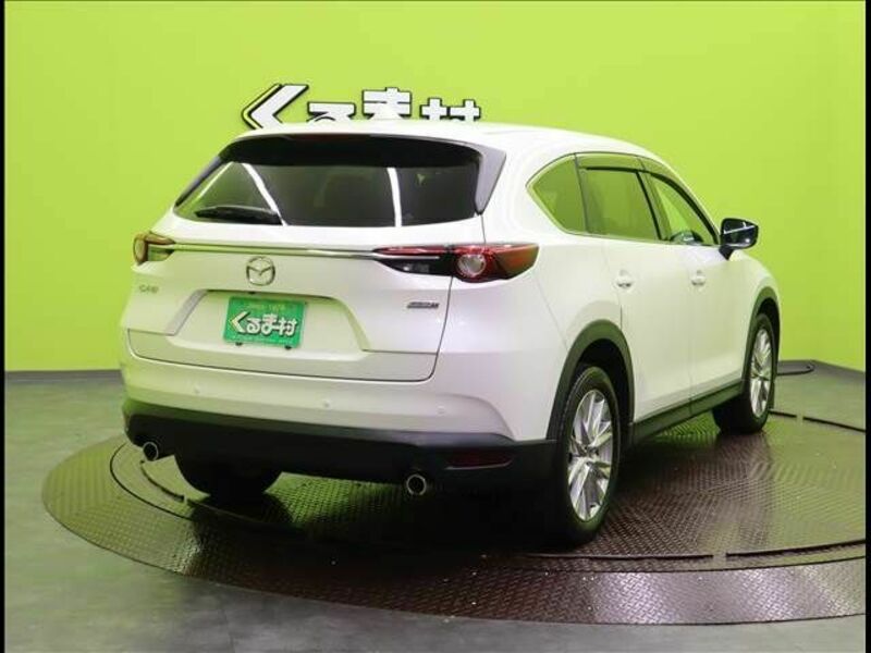 CX-8-1