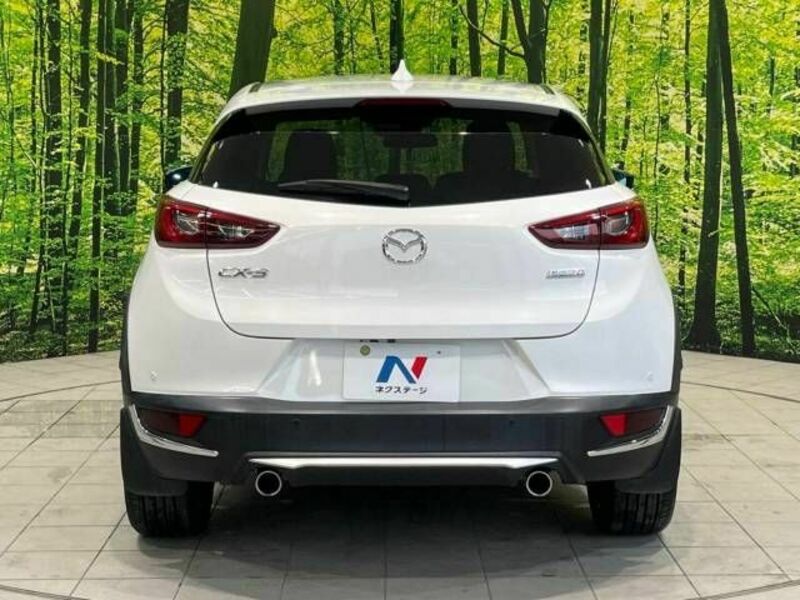 CX-3-15