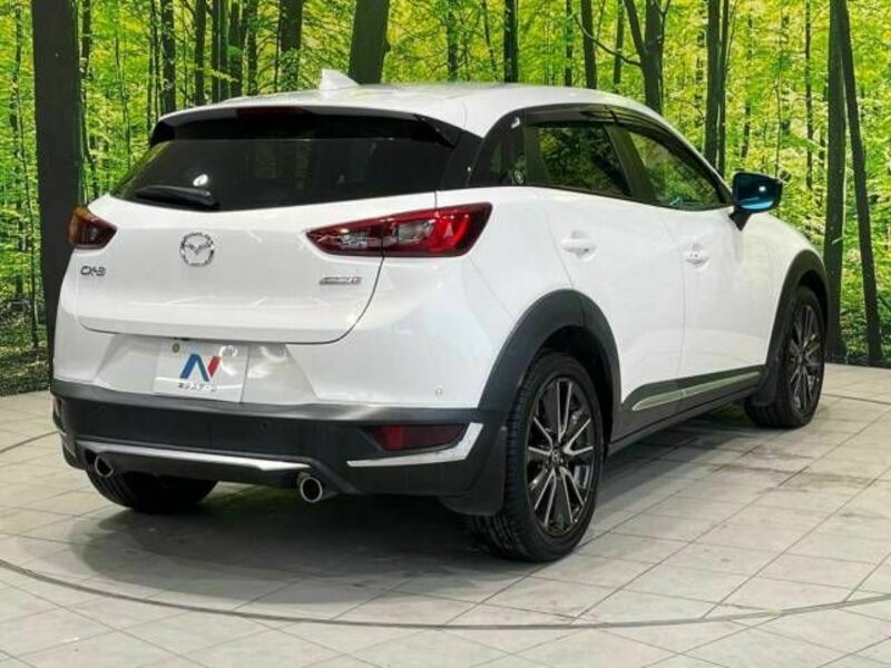 CX-3-17