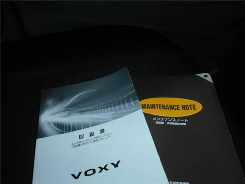 VOXY-19