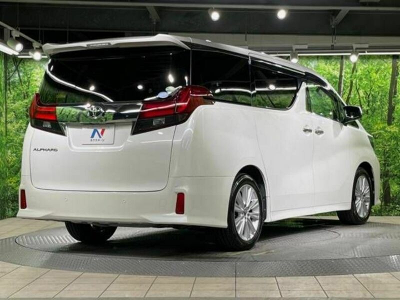 ALPHARD-18