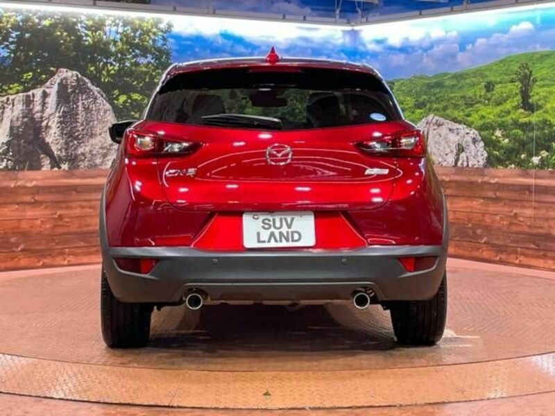 CX-3-15