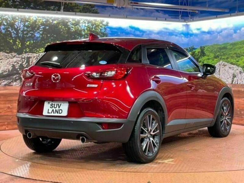 CX-3-17