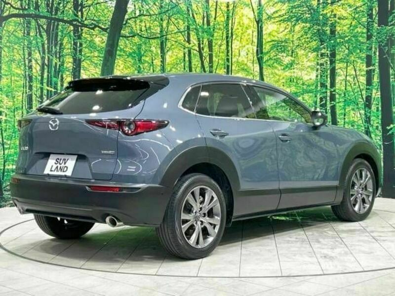 CX-30-17