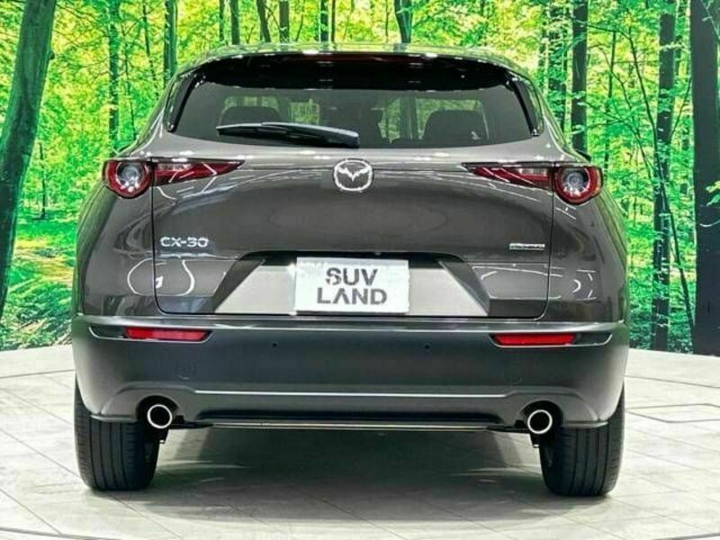 CX-30-15