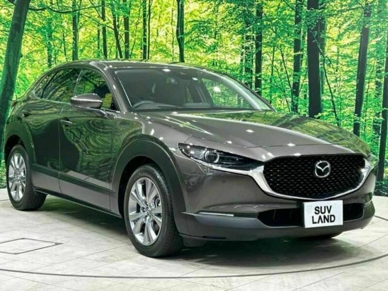 CX-30-16