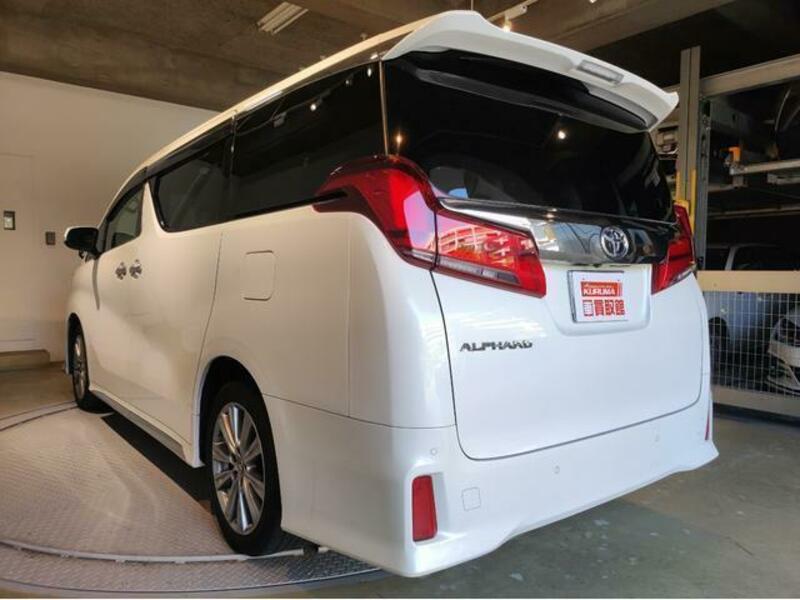 ALPHARD-6