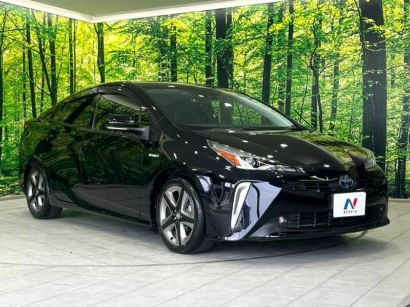 PRIUS-16