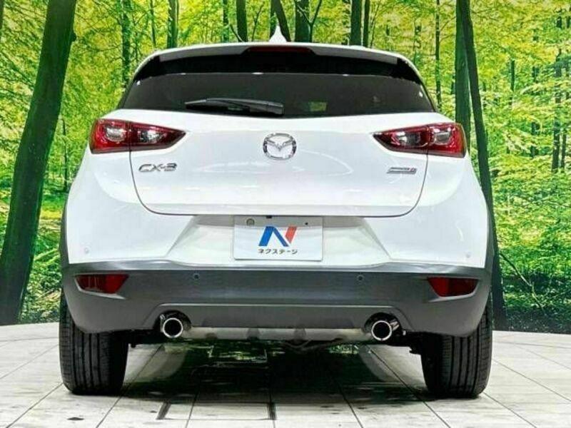 CX-3-15