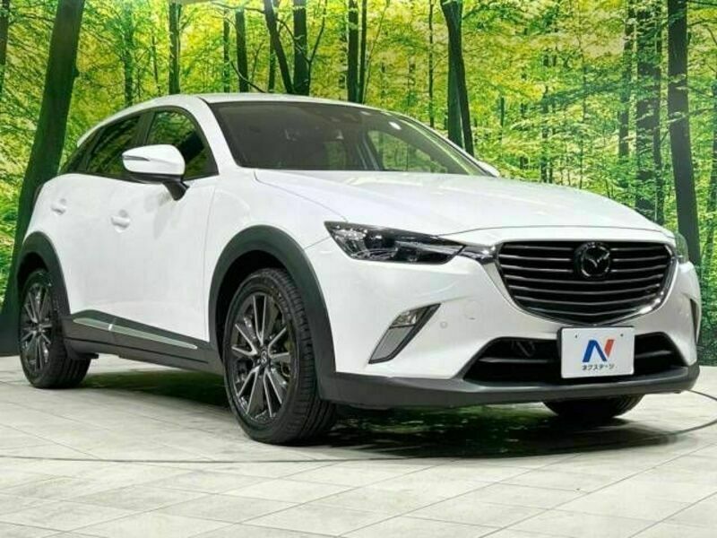 CX-3-16