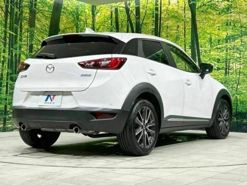 CX-3-17