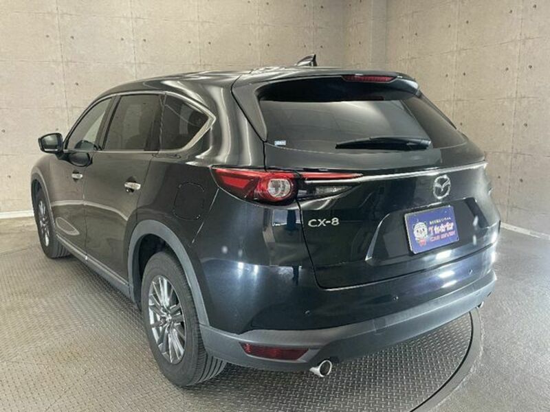 CX-8-13