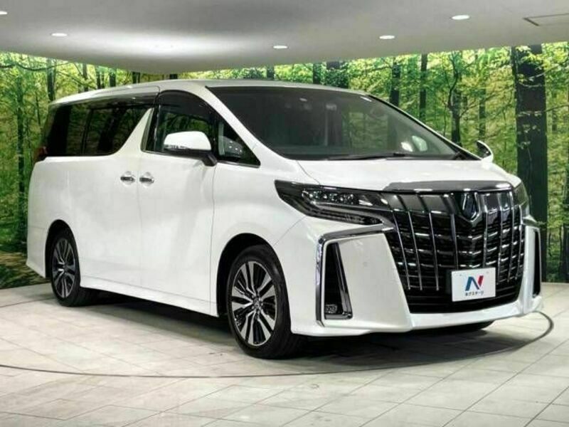 ALPHARD-17