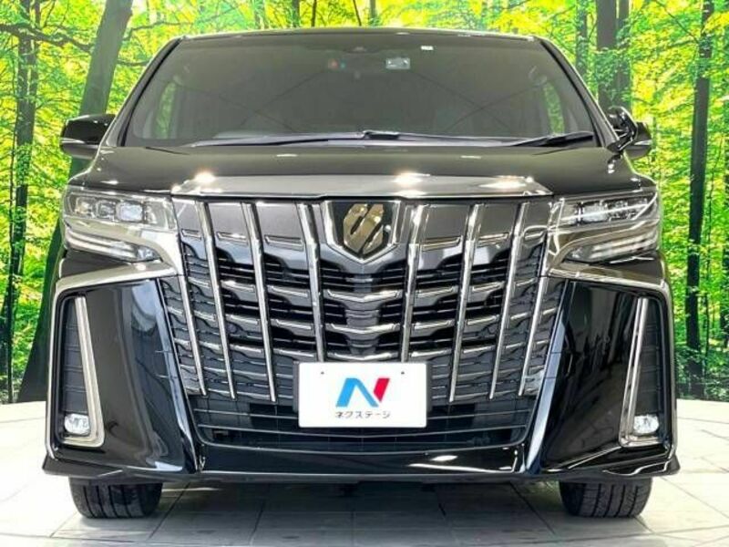 ALPHARD-14