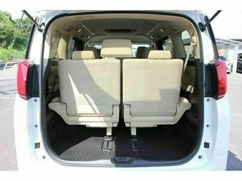 ALPHARD-19