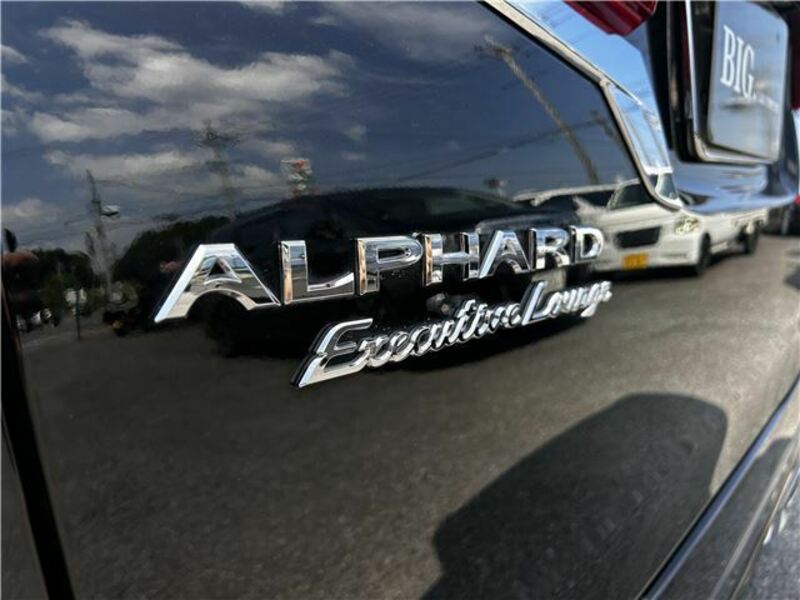 ALPHARD-15