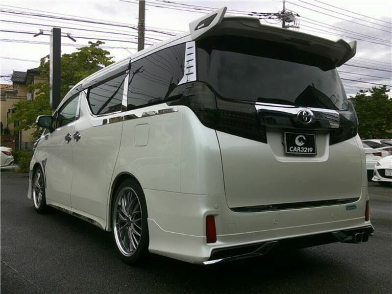 ALPHARD-13