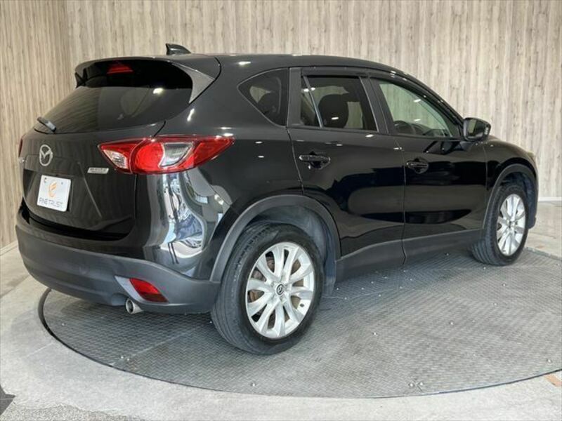 CX-5-19