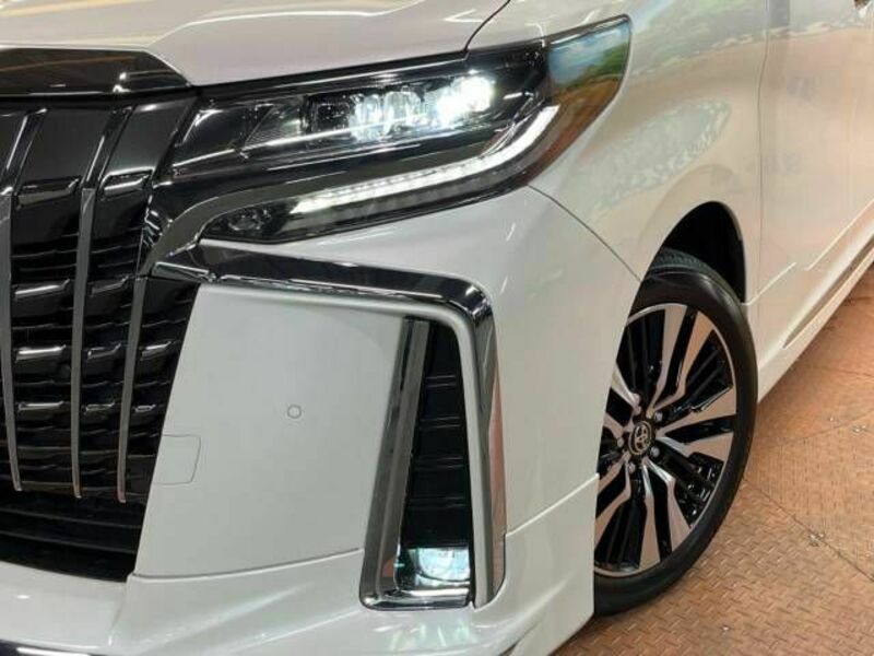 ALPHARD-14