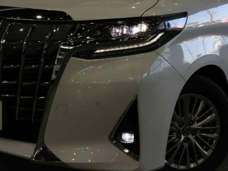 ALPHARD-16