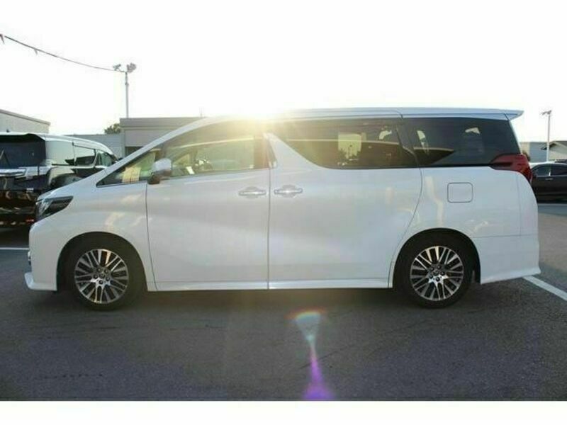 ALPHARD-8