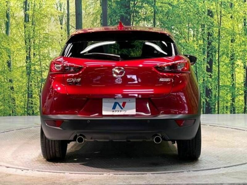 CX-3-15