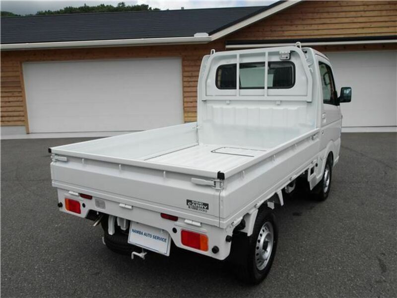 CARRY TRUCK-7