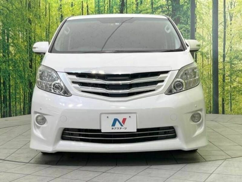 ALPHARD-13