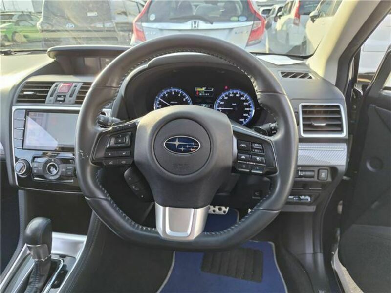 LEVORG-12