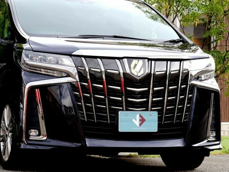 ALPHARD-6