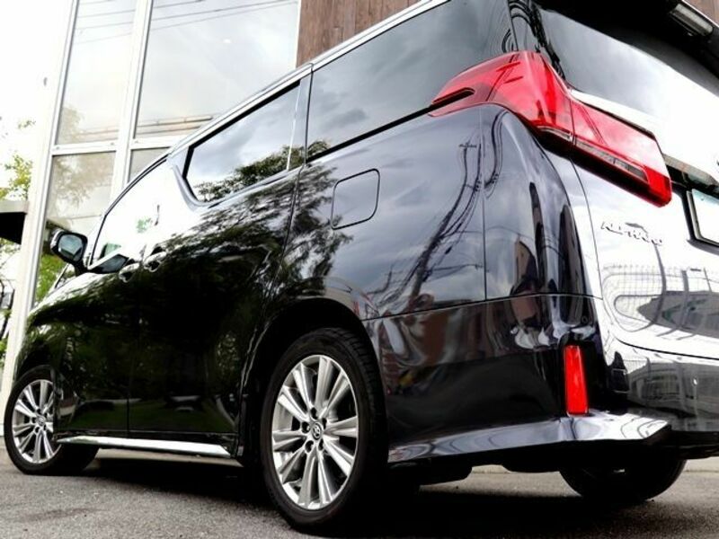 ALPHARD-11