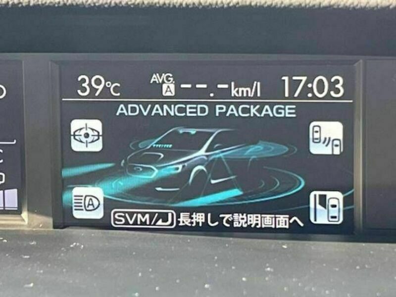 LEVORG-2