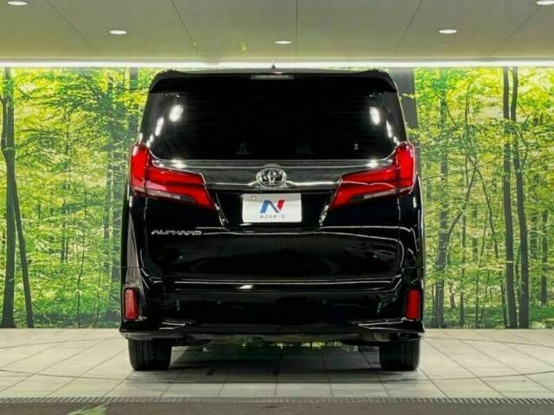 ALPHARD-15