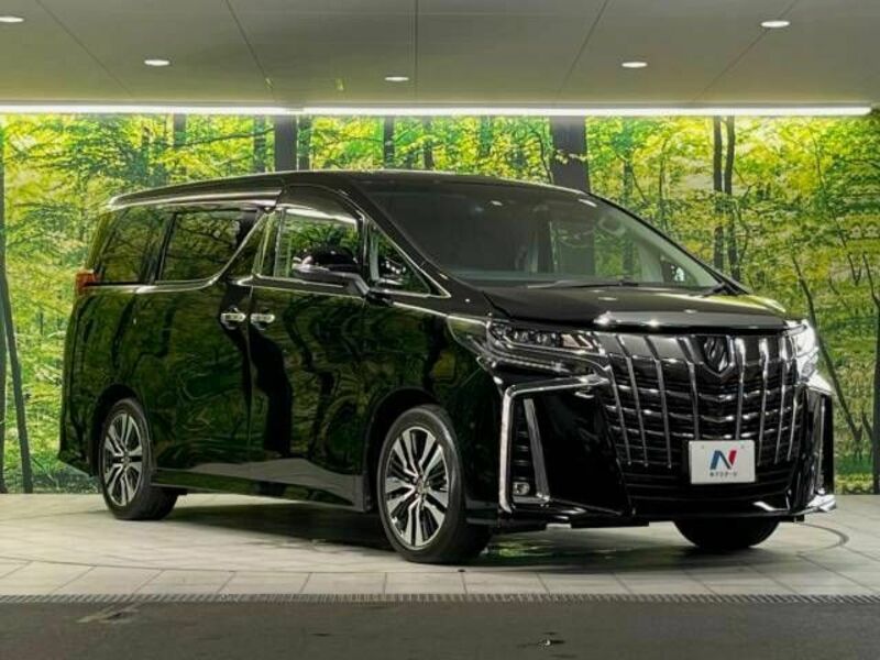 ALPHARD-16