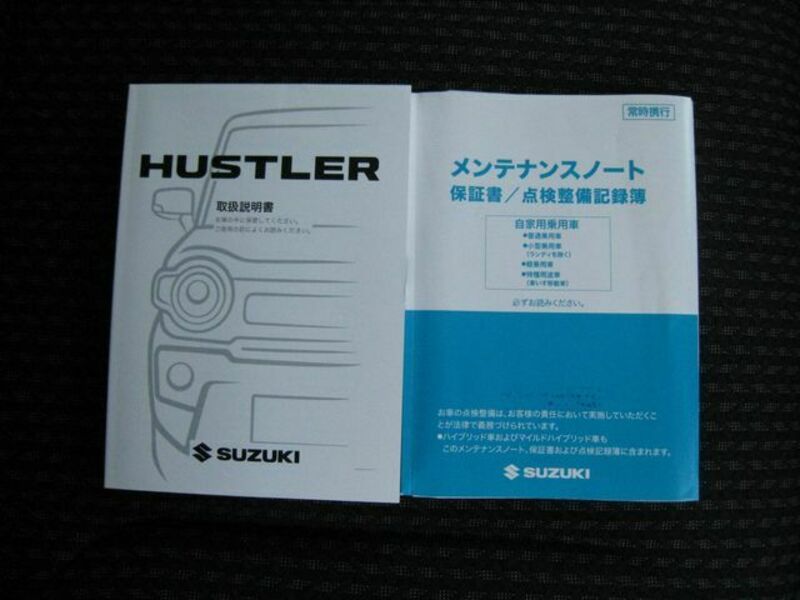 HUSTLER-9