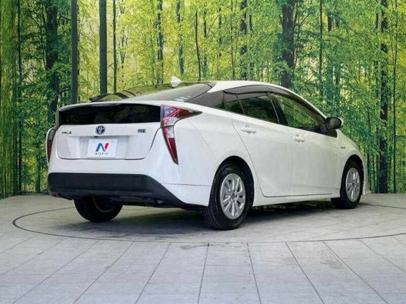 PRIUS-17