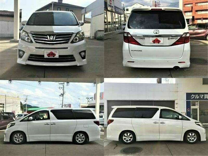 ALPHARD-8