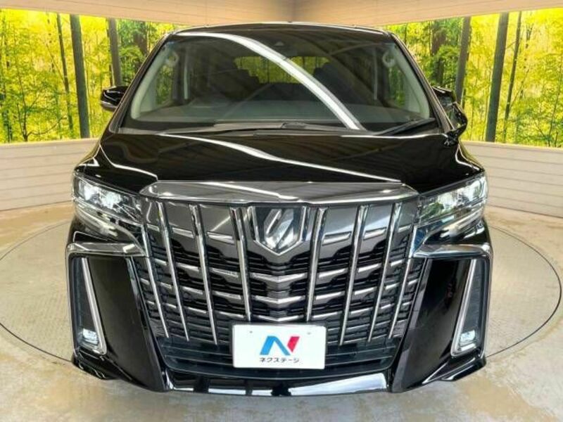 ALPHARD-14