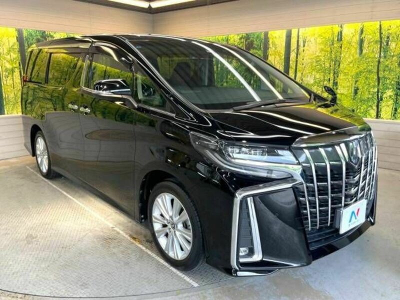 ALPHARD-16