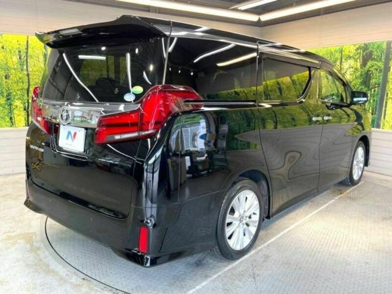 ALPHARD-17