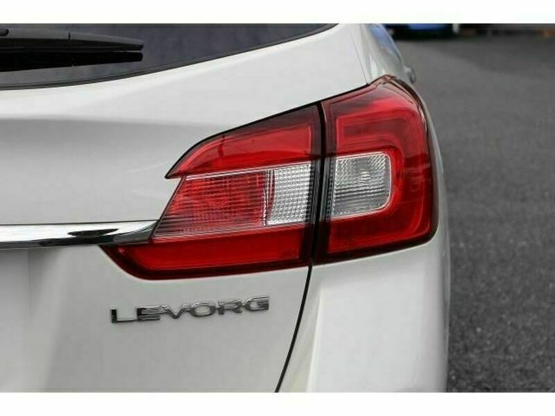 LEVORG-11