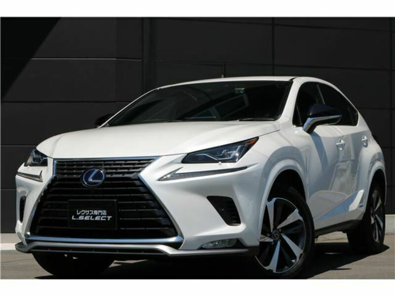 LEXUS　NX