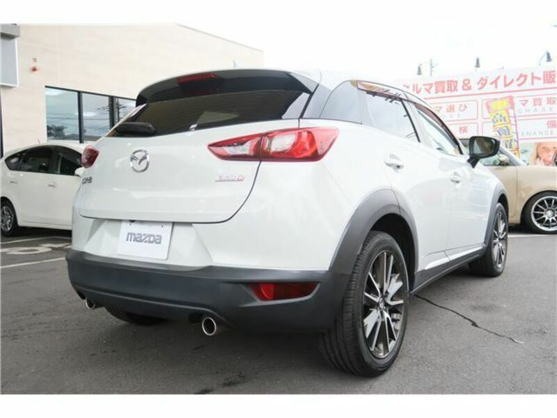 CX-3-10