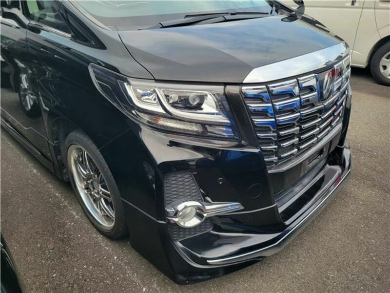 ALPHARD-3