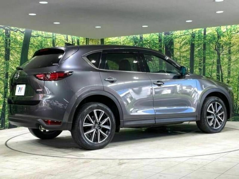 CX-5-17