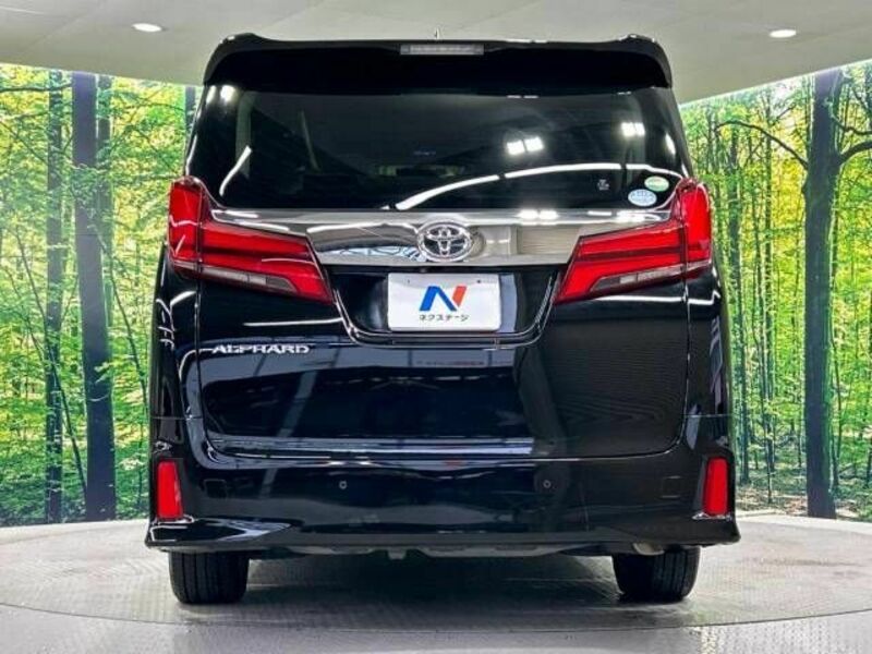 ALPHARD-15