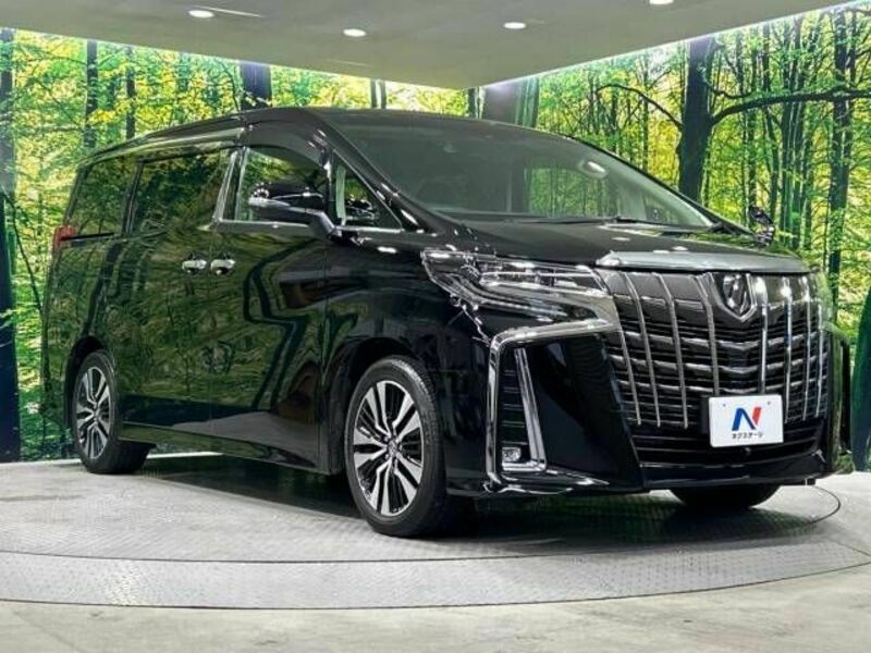 ALPHARD-16