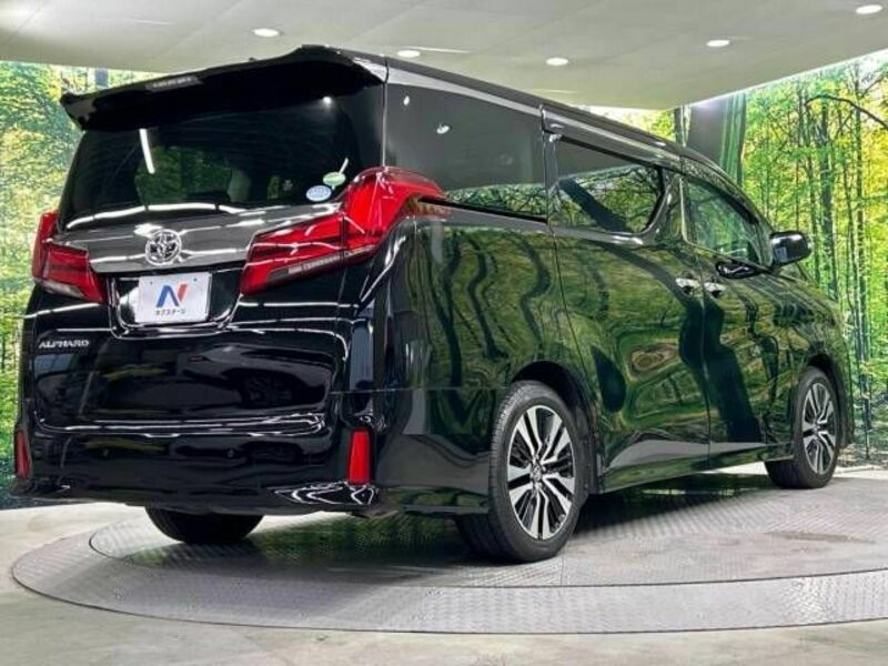 ALPHARD-17