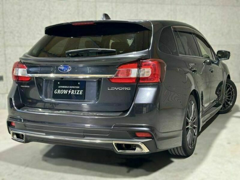 LEVORG-3